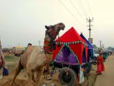 Photologue: Pushkar Camel Fair